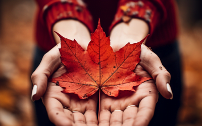 Blog 4 Comment attirer la chance et la bonne fortune ?